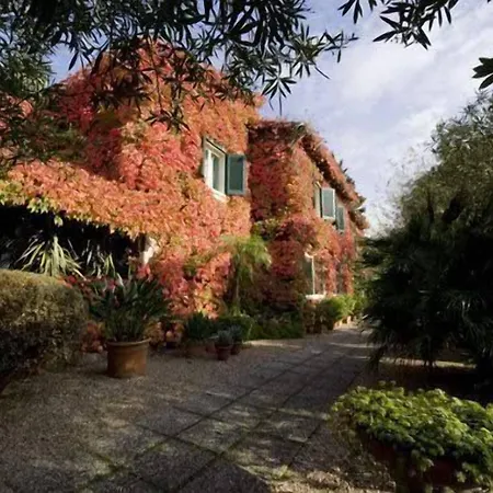 La Culla Del Castel Gandolfo