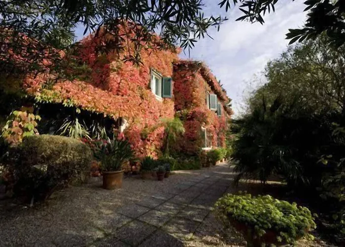 La Culla Del Castel Gandolfo